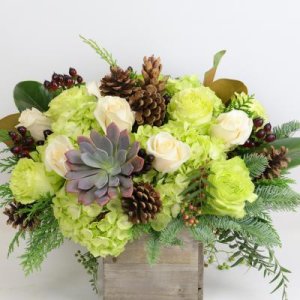 Holiday Succulent Bouquet (image for) Holiday Succulent Bouquet