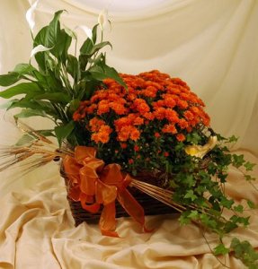 (image for) Fall Flowering Planter