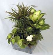 Tranquility Planter
