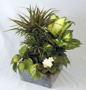 Tranquility Planter Tranquility Planter