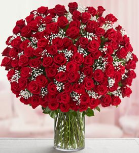 The 100 Red Roses in a Vase (image for) The 100 Red Roses in a Vase