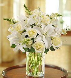 (image for) White Sympathy Arrangement