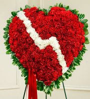 Red Sympathy Standing Broken Heart