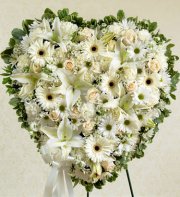 White Sympathy Standing Heart