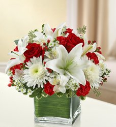(image for) Red and White Healing Tears Bouquet