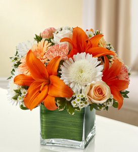 Peach, Orange and White Simplicity Cube Peach, Orange and White Simplicity Cube