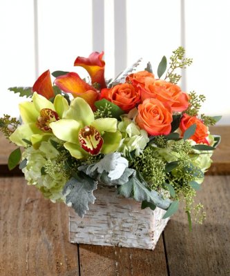 Above Belvedere Sunset Bouquet
