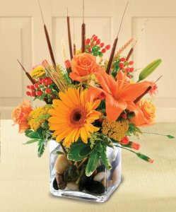 Autumn in a Cube Arrangment