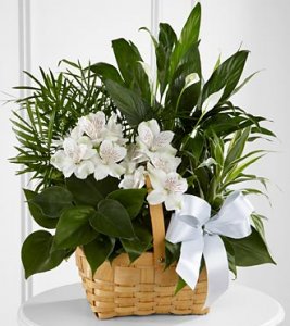 Peace And Serenity Dishgarden