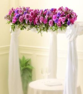 The Color And Light Chuppah Garland (image for) The Color And Light Chuppah Garland