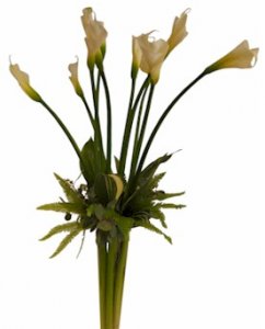The Concorde of Simplicity Bouquet The Concorde of Simplicity Bouquet