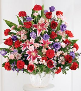 Solace Arrangement