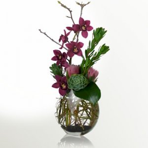 The Tropical Muse Bouquet The Tropical Muse Bouquet