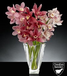 Glistening Grace Luxury Mini Cymbidium Orchid Bouquet (image for) Glistening Grace Luxury Mini Cymbidium Orchid Bouquet