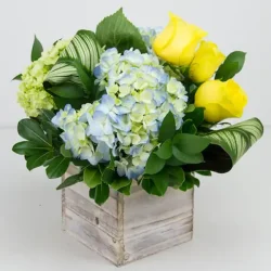 Ocean Breeze Bouquet (image for) Ocean Breeze Bouquet