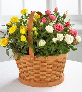 Rose Garden Basket Rose Garden Basket