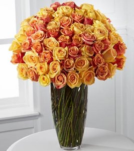 Serendipity (image for) Serendipity