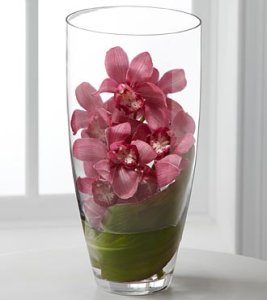 Spirited Luxury Orchid Bouquet (image for) Spirited Luxury Orchid Bouquet