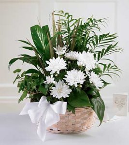 The Peaceful Garden Basket