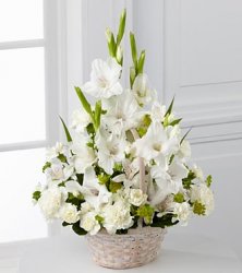Affection and Peaceful Arrangement