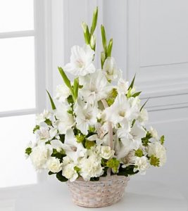 Affection and Peaceful Arrangement