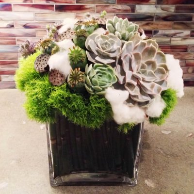 Succulent Serenity Bouquet
