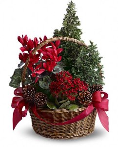 Tannenbaum Basket (image for) Tannenbaum Basket