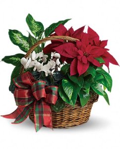 Holiday Homecoming Basket (image for) Holiday Homecoming Basket