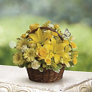 Basket Full Of Wishes (image for) Basket Full Of Wishes