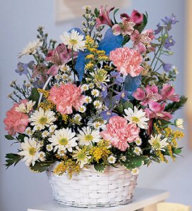 New Baby Jubilee (image for) New Baby Jubilee