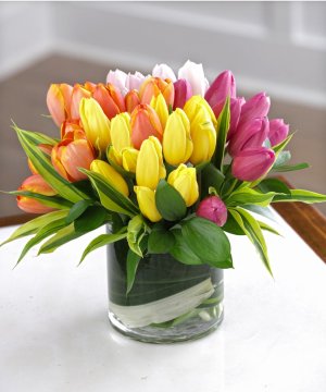 (image for) A Mixed Tulip Rainbow Bouquet - 40 Tulips