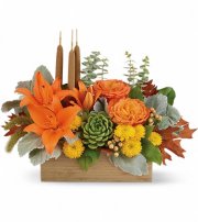 Autumn Garden