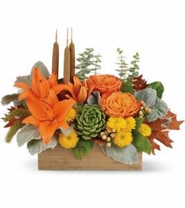 Autumn Garden