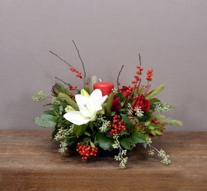 Tis The Season (image for) Tis The Season