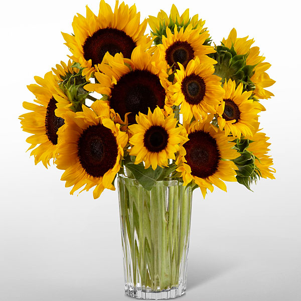 (image for) Golden Sunflowers Bouquet