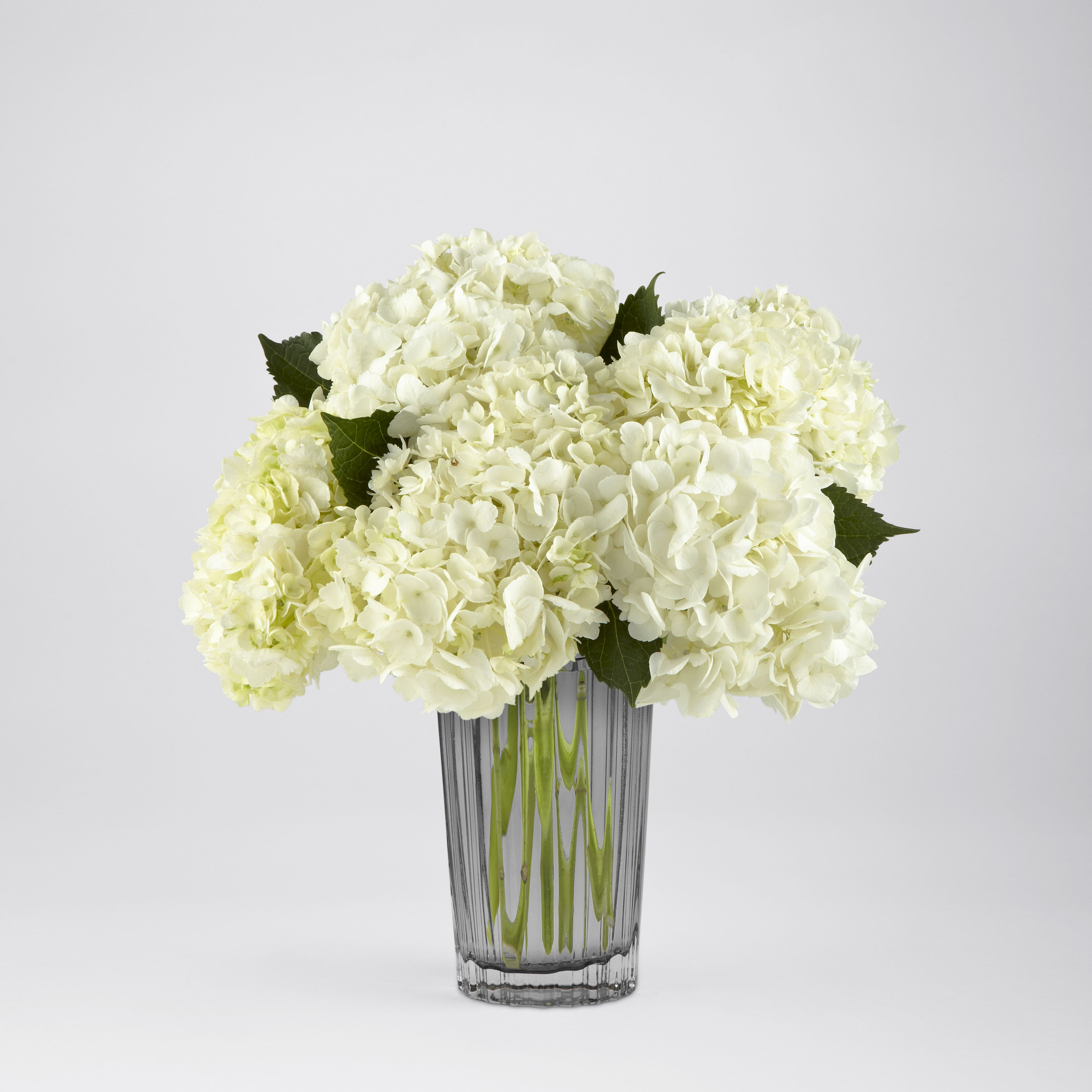 (image for) White Hydrangea Bouquet