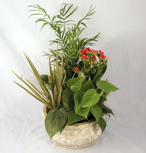 (image for) European Stone Garden