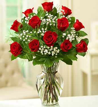 The Rose Elegance - 12 Red Roses