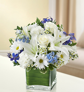 Blue and White Simplicity Cube
