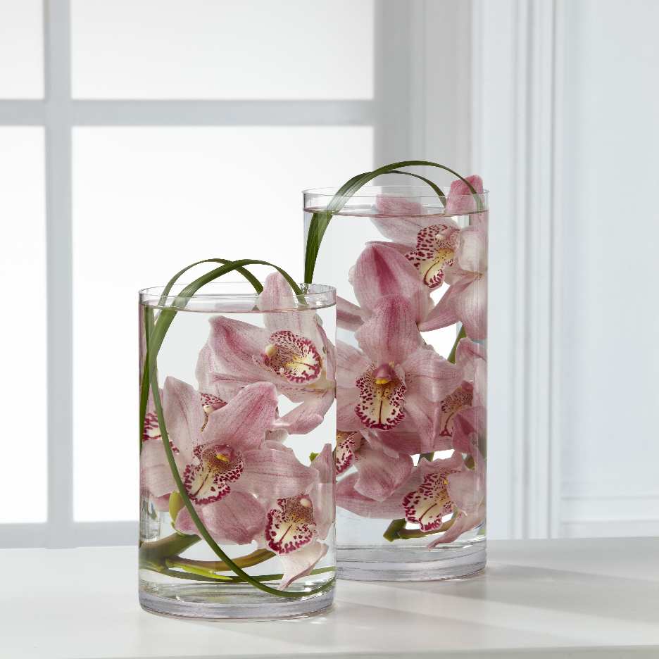 (image for) Tranquil Orchid Arrangement