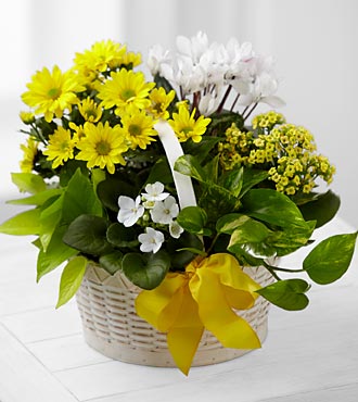 Sunshine Basket