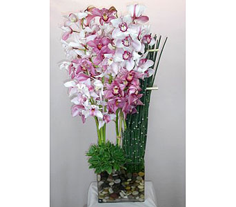 (image for) Orchid Dream Bouquet
