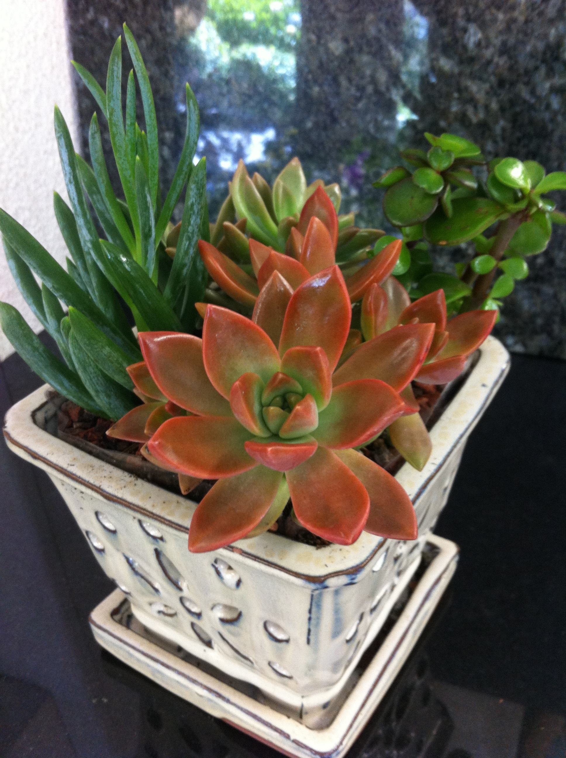 (image for) Succulent Intentions Planter