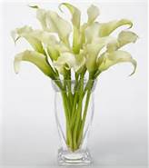 White Calla Lily Bouquet (image for) White Calla Lily Bouquet