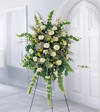 (image for) The Splendor Standing Spray